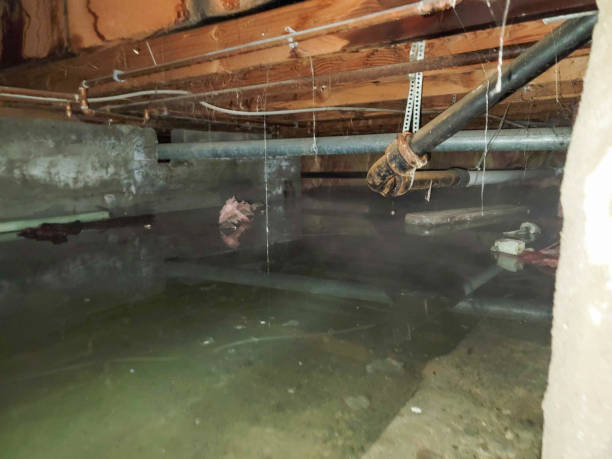 Best Emergency water damage restoration  in Keystone Heights, FL