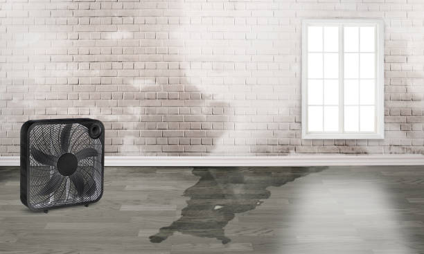 Best Residential water damage restoration  in Keystone Heights, FL