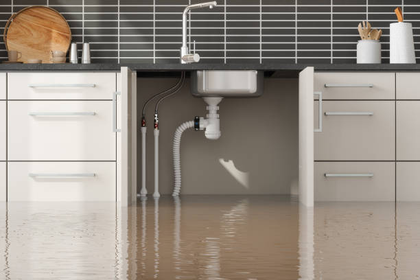 Trusted Keystone Heights, FL Water damage restoration Experts